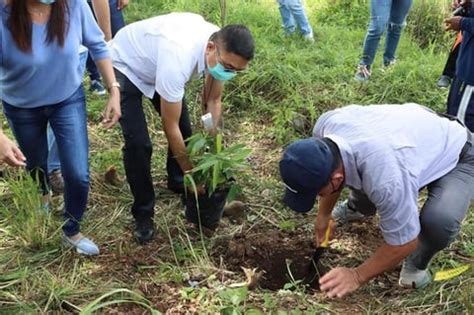 Bataan to boost 820 hectares of bamboo propagation, bakawan.